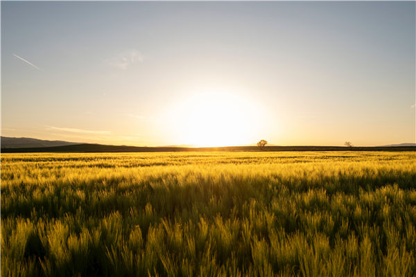土壤快速檢測(cè)儀