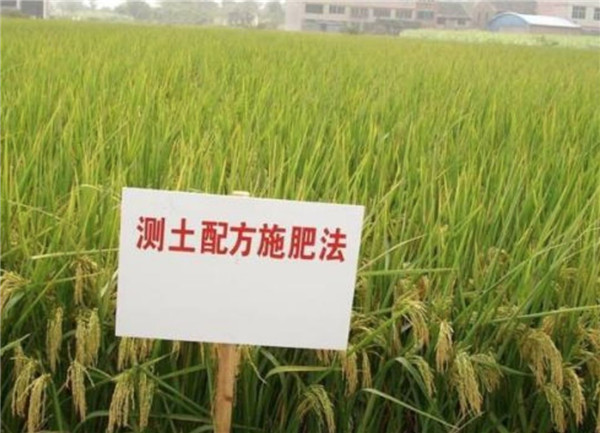 HM詳解土壤養(yǎng)分速測儀怎么用？