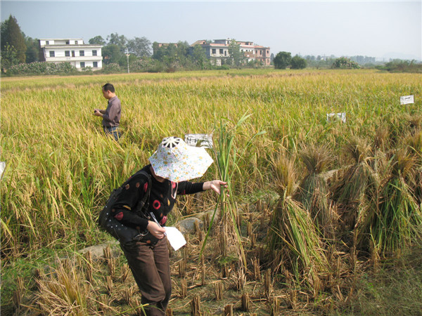 HM詳解土壤養(yǎng)分速測儀怎么用？