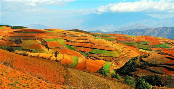 土壤養(yǎng)分檢測(cè)儀都有哪些特點(diǎn)功能 土壤養(yǎng)分檢測(cè)儀都有哪些特點(diǎn)功能