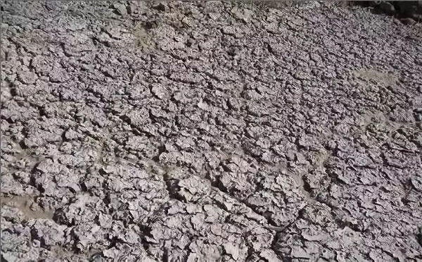 自動(dòng)氣象站既能監(jiān)測環(huán)境也可以計(jì)算制定改善方案 自動(dòng)氣象站既能監(jiān)測環(huán)境也可以計(jì)算制定改善方案