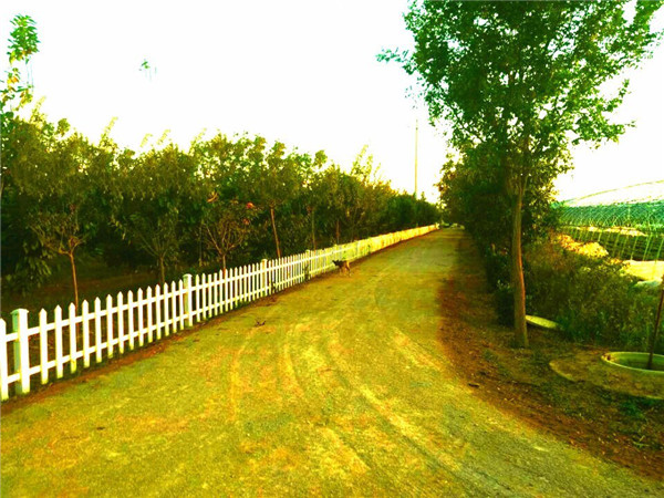 土壤養(yǎng)分測定儀分析土壤養(yǎng)分的科學供應(yīng)