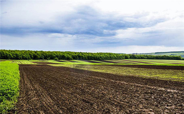 土壤養(yǎng)分測定儀分析土壤養(yǎng)分的科學供應(yīng)