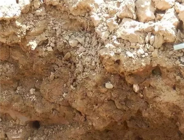 土壤養(yǎng)分分析儀測定土壤中總氮含量 土壤養(yǎng)分分析儀測定土壤中總氮含量