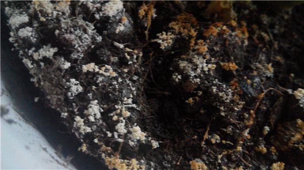 土壤成分分析儀的使用方法 土壤成分分析儀的使用方法