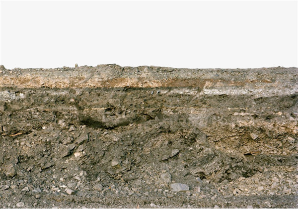 土壤有機質(zhì)及測試儀器的探討