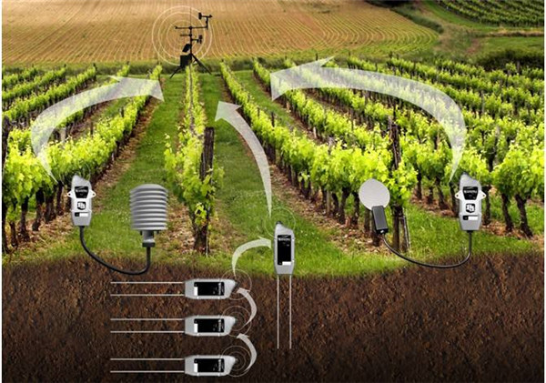 快速土壤溫度計(jì)-土壤溫度計(jì)-價(jià)格和理論功能 快速土壤溫度計(jì)-土壤溫度計(jì)-價(jià)格和理論功能