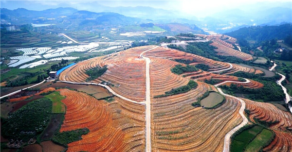 快速土壤溫度計(jì)-土壤溫度計(jì)-價(jià)格和理論功能 快速土壤溫度計(jì)-土壤溫度計(jì)-價(jià)格和理論功能