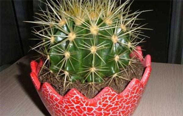 土壤溫度測量儀有哪些更好的原理和技術(shù)？