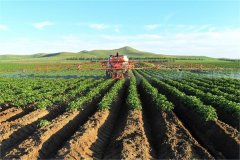 土壤養(yǎng)分測(cè)試儀的基本原理、技術(shù)和功能