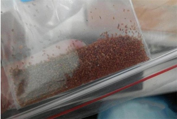 土壤養(yǎng)分測試儀的基本原理、技術(shù)和功能