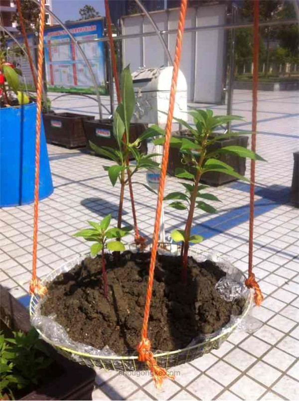 土壤養(yǎng)分檢測(cè)儀的報(bào)價(jià)及基本原理技術(shù)