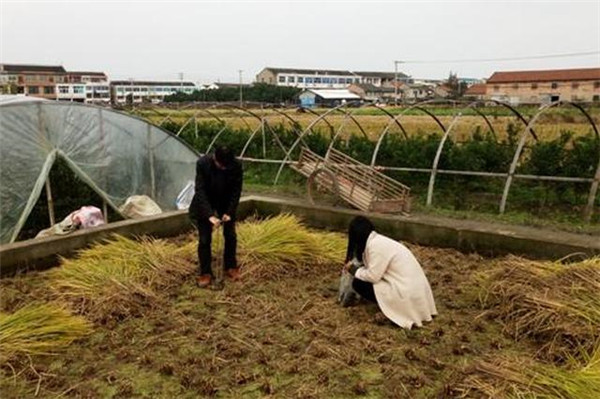 土壤養(yǎng)分檢測(cè)儀的報(bào)價(jià)及基本原理技術(shù)