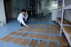 土壤酸堿度快速測量儀：多少錢及其原理、技術(shù)功能