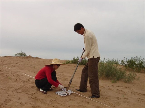 果樹的光合作用與土壤水分有什么關系？