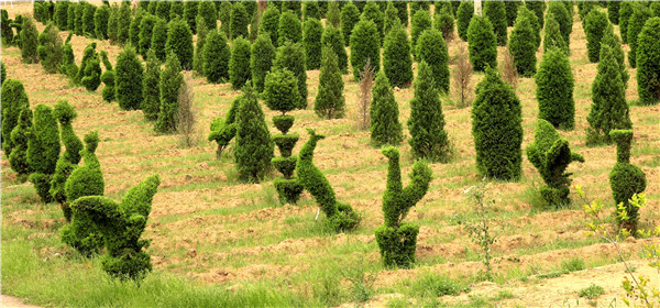 土壤養(yǎng)分檢測(cè)器?；緲?biāo)準(zhǔn)和操作方法