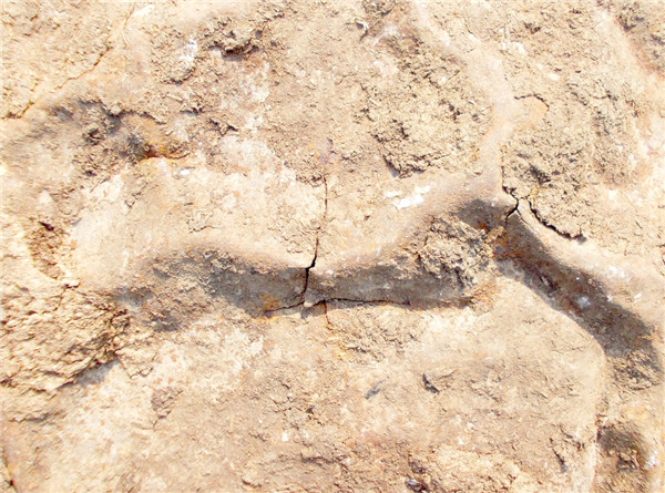 土壤化肥速度計(jì)的出廠價(jià)格和一般原理 土壤化肥速度計(jì)的出廠價(jià)格和一般原理