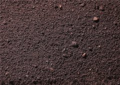 土壤水分測定儀的原理、技術(shù)和功能