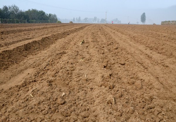 如何用土壤PH測(cè)試儀測(cè)量土壤酸堿度 如何用土壤PH測(cè)試儀測(cè)量土壤酸堿度