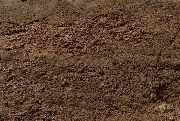 土壤養(yǎng)分快速測(cè)定儀哪個(gè)好？理論值得信賴