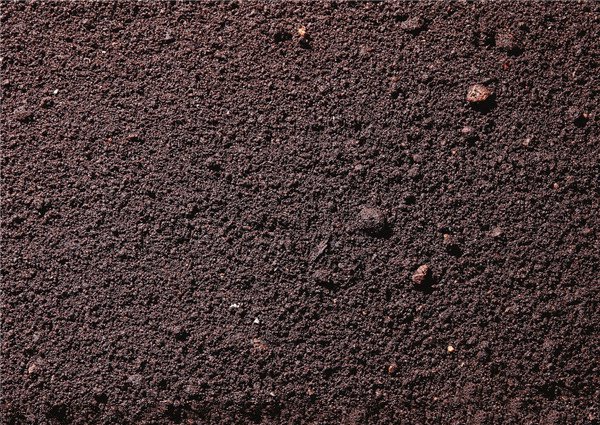 土壤養(yǎng)分快速測(cè)定儀哪個(gè)好？理論值得信賴