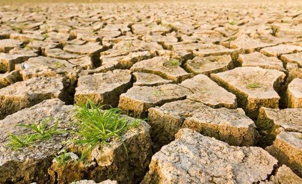 土壤養(yǎng)分測定儀的一般原理和功能 土壤養(yǎng)分測定儀的一般原理和功能