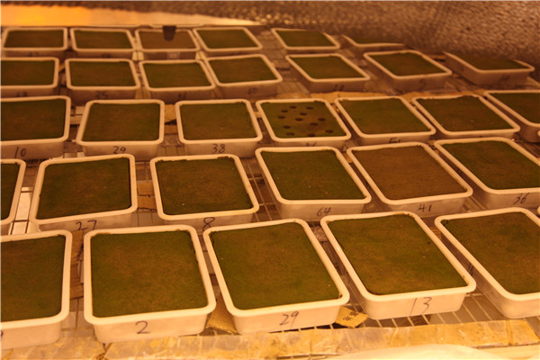 土壤植物養(yǎng)分分析儀的基本原理和功能 土壤植物養(yǎng)分分析儀的基本原理和功能