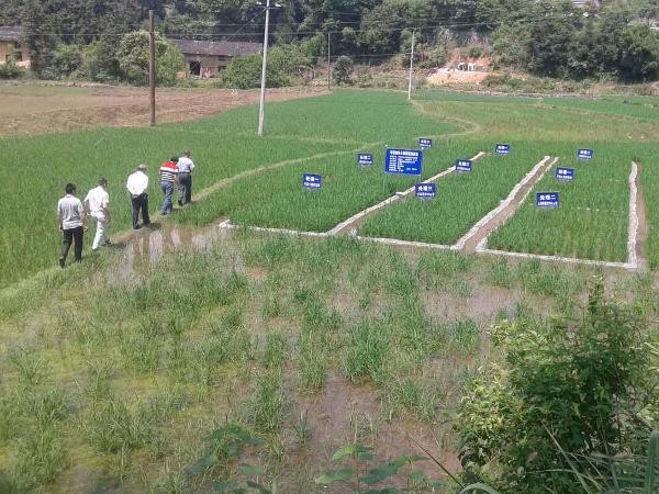 土壤微量元素檢測儀 土壤微量元素檢測儀
