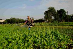 土壤水分速測(cè)儀的工作原理是什么？